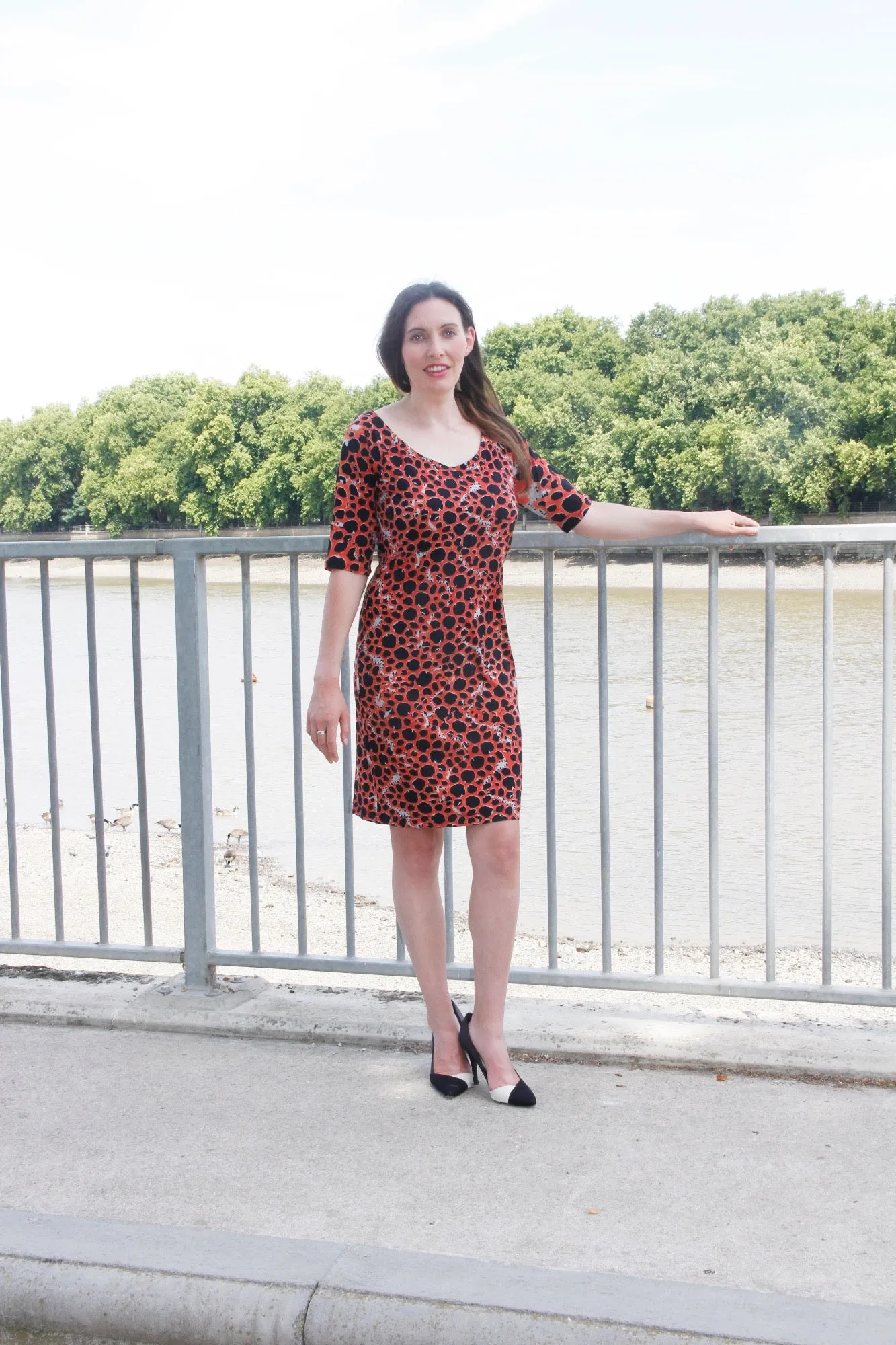 Suzannah Dress - Animal Print