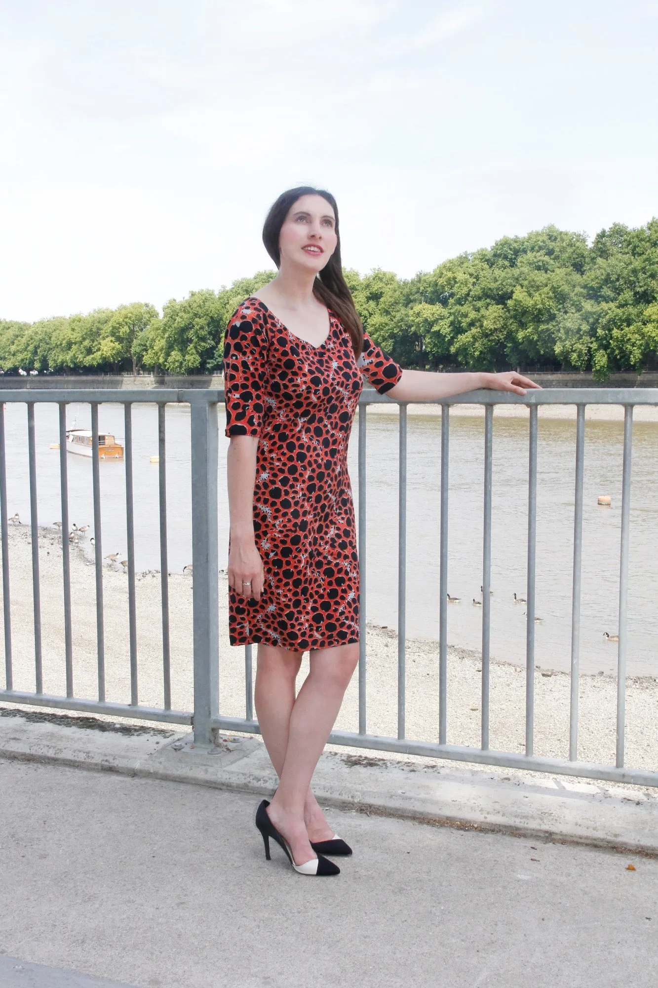 Suzannah Dress - Animal Print